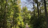 Trail Walking Asse - S-GR Groene Gordel: Mollem - Ternat - Photo 7
