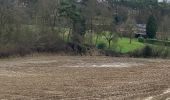 Tocht Stappen Waver - #240209 - Bierges, autour du Bois Wilmet** (version courte horlogique) - Photo 16