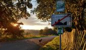 Trail Walking Bièvre - Marche Adeps de Oizy 15 km - Photo 2