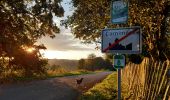 Tocht Stappen Bièvre - Marche Adeps de Oizy 15 km - Photo 2