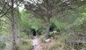 Trail Walking Cartagena - El Portus camping Punta Del Moco retour rambla  - Photo 9