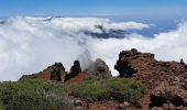 Excursión Senderismo Garafía - La Palma 5 : GR131- Roque de Los Muchachos - Pic de la Nieve - Photo 8