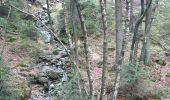 Randonnée Marche Malmedy - cascade du bayon  - rando malmedy 1 - Bambi rouge  - Photo 17