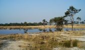 Tour Zu Fuß Woensdrecht - Wandelpad Mier - Photo 1