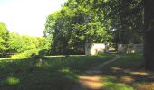 Tour Zu Fuß Villers-Cotterêts - le GR11A  dans la Forêt de Retz  - Photo 16