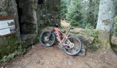 Trail Mountain bike Moyenmoutier - sortie vtt 14042019 Moyenmoutier - Photo 18