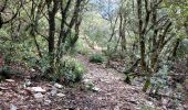 Trail Walking Flassan - Sentiers sauvages de la Combe Ripert - Photo 2