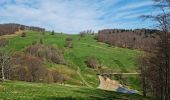 Trail Walking Kirchberg - Rando du 11/04/2024  ..Marcheurs - Photo 2