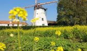 Trail Walking Gembloux - autour de Grand-leez - Photo 3