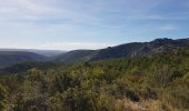 Excursión Senderismo Saint-Guilhem-le-Désert - Saint Guilhem L'Ermitage ND de la Grâce - Photo 17