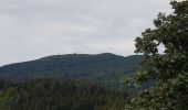 Tour Wandern Murbach - Murbach - Grand Ballon - Lac du Ballon - Col du Wolfsgrube - Photo 10