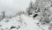 Tour Wandern Saint-Hubert - Tour du Parfond Ry - Photo 2