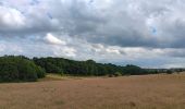 Trail Walking Herve - bolland . favechamps . la vaux . melen . bolland  - Photo 19