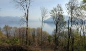 Tocht Stappen Stresa - Stresa-Belgirate-lac Majeur  - Photo 5