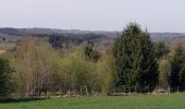 Percorso Marcia Bièvre - Graide 190422  - Photo 3