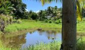 Tour Wandern Sainte-Anne - Liard saint Robert  - Photo 1