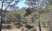 Tour Wandern Tarascon - CR_Domitia_BA_23_Tarascon_St-Remy-Provence_20220404 - Photo 9