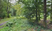 Trail Walking Bouillon - Bellevaux 190923 - Photo 4