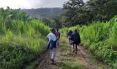 Excursión Senderismo Le Lorrain - Rando Bananeraie La Rougerie - Photo 17