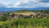 Tocht Elektrische fiets Essert - VTT - Essert - Salbert - Vétrigne - Miotte - Citadelle Belfort - Essert - Photo 19