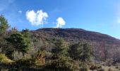 Randonnée Marche Bézaudun-sur-Bîne - Couspeau - Le Grand Delmas - Photo 4