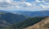 Trail Walking La Bresse - pied du Hohneck - le Kastelbeck - Photo 7