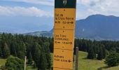 Excursión Senderismo Lans-en-Vercors - Du col de croix de Perrin au Pas de Bellecombe - Photo 3