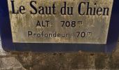 Tocht Stappen Villard-Saint-Sauveur - 39 Villard St Sauveur - cascades de. flumen-saut du chien - Photo 2
