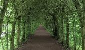 Trail Walking Theux - lareid . vertbuisson . haut marais . fraineux . la reid  - Photo 8