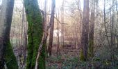 Tour Wandern Saint-Fargeau-Ponthierry - Retour à l'école - Photo 10