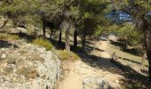 Trail Walking Antequera - Antequera - Photo 5