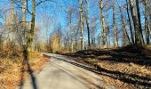 Randonnée Marche Compiègne - en forêt de Compiègne_47_autour des Beaux Monts - Photo 12