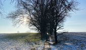 Percorso Marcia Genappe - Promenade de Berines, sur les hauteurs  - Photo 2