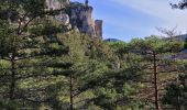 Tocht Stappen Le Rozier - les corniches du Méjean (la Jonte) - Photo 14