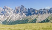 Tocht Te voet Villnöß - Funes - Adolf Munkel Weg - Via delle Odle - Photo 3