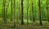 Trail Walking Gland - Gland du 24-04-2025 - Photo 2
