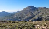 Randonnée Marche Allauch - les trois têtes - Photo 10