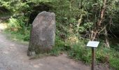 Tour Zu Fuß Huelgoat - Circuit de la Mine Argentifère - Photo 5