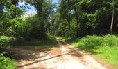 Percorso A piedi Compiègne - en forêt de Compiègne_34_autour du Buissonnet et du Berne - Photo 13