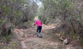 Tour  Tanneron - Tanneron - Photo 4