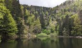 Tocht Stappen Sondernach - 2023-05-19 WE Marche Bivouac Massif du Hohneck - Photo 12