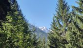 Excursión Senderismo Chamonix-Mont-Blanc - Buvette du Chapeau et Tête des Prapators 1844m - Photo 13