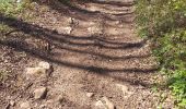 Trail Walking Charnay - Charnay .. lcheikh - Photo 18