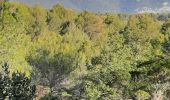 Trail On foot Cuges-les-Pins - vallon des martirs Riboux - Photo 6