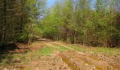 Tour Wandern Longpont - en forêt de Retz_77_Longpont_Puiseux en Retz_AR - Photo 5