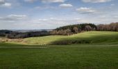 Randonnée Marche Theux - hodbomont . vieux cortil . jevoumont . hodbomont  - Photo 5