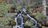 Trail Walking Plainfaing - rudlin - Photo 5