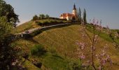 Tocht Te voet Kitzeck im Sausal - Panoramagalerie Sulmtal - Sausal - Kunst und Wein - Photo 3