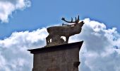 Trail On foot Schleusingen - Panoramaring - Photo 10