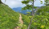 Trail Walking Saint-Christophe-sur-Guiers - Petit Som 8 km - Photo 10